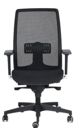 Sedia ergonomica da ufficio Browser 100